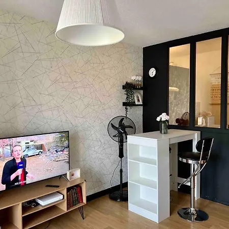 Bd Joseph Girod Centre Apartment *